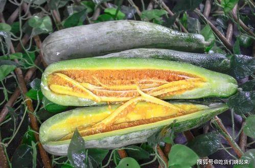 成县的吃瓜网红是谁啊,揭秘网络红人的魅力与影响力  第3张